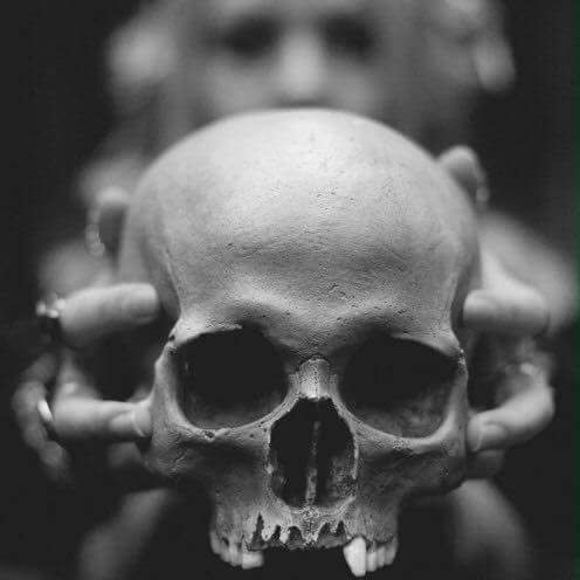 Meet your Posher, Faith - Picture 1 of 1